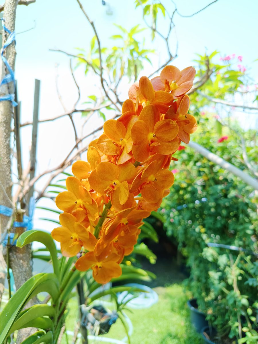 GIB 🍂🍄⛅ tweet media