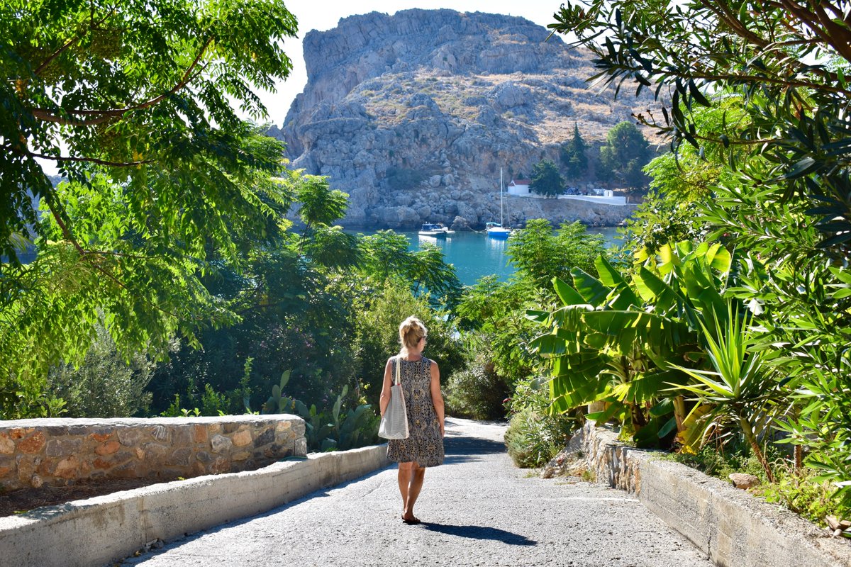 Clive Hart tweet media