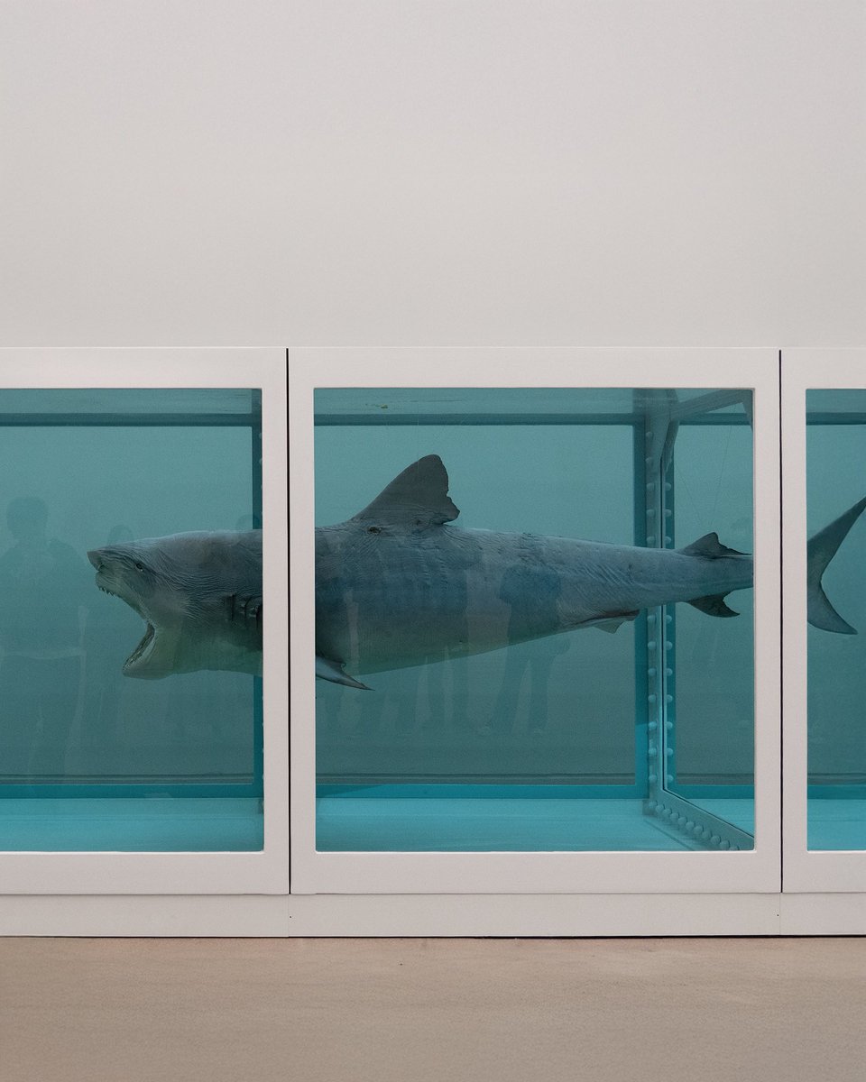 더트프로젝트 tweet media