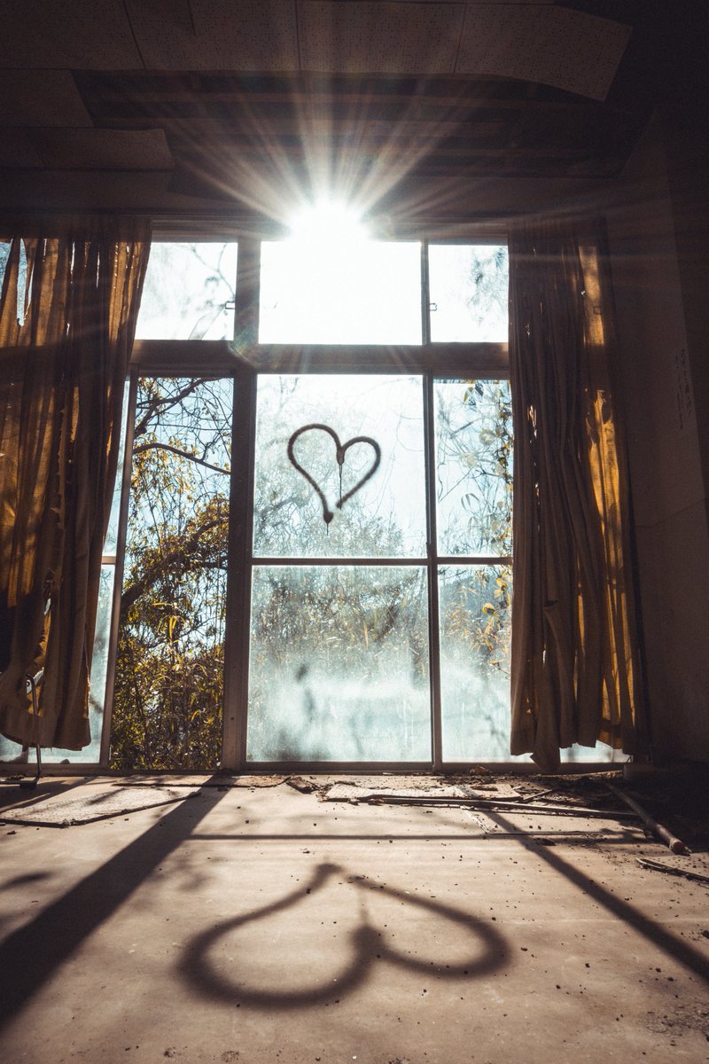 𓃰 𝕣𝕒𝕟 𓃰 フィルムで廃墟 tweet media