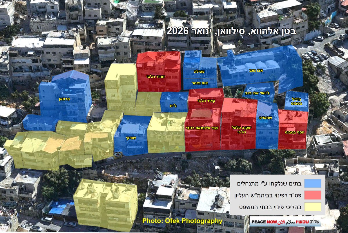 שלום עכשיו tweet media