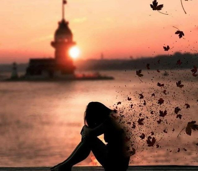 ورد جـــــوري tweet media