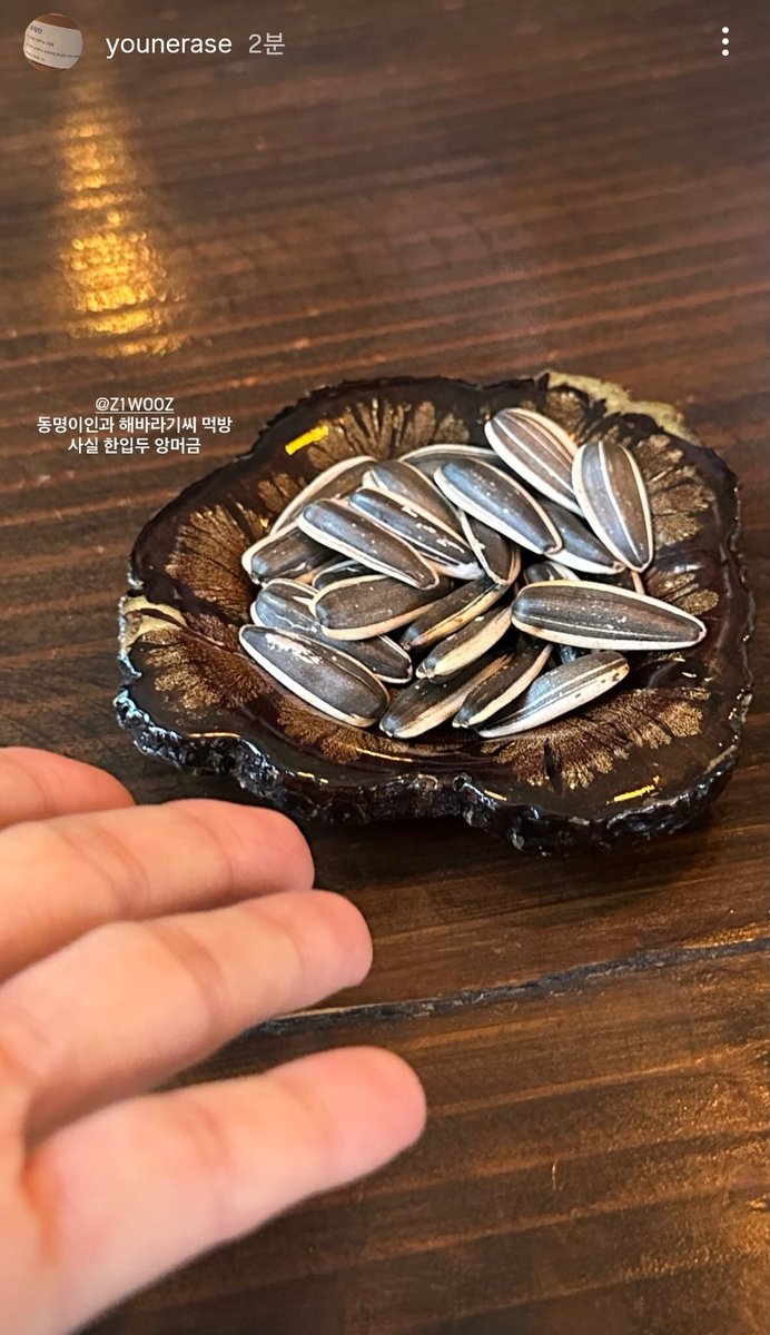 ᵐᵉˡˡᵒ tweet media