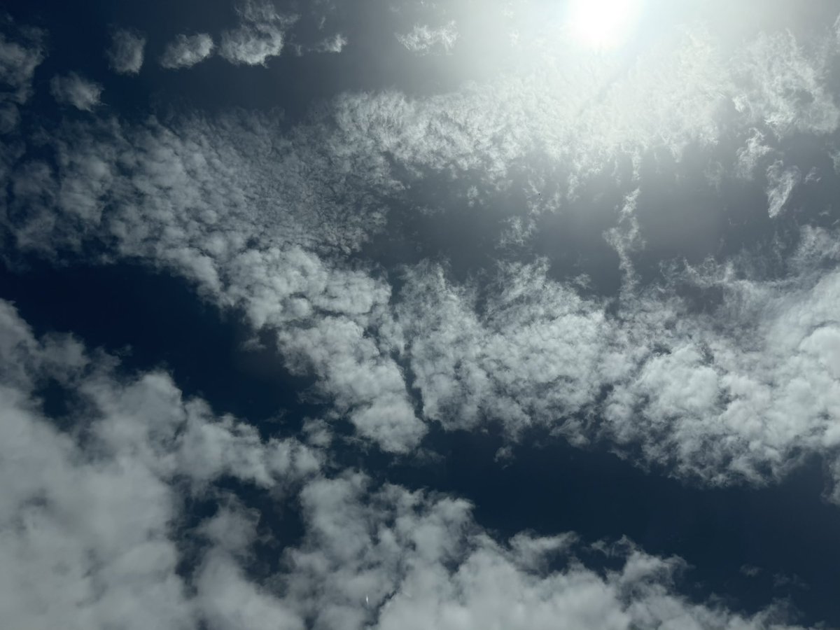 هديل🕊 tweet media