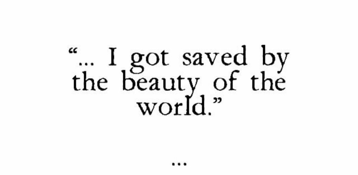 هديل🕊 tweet media