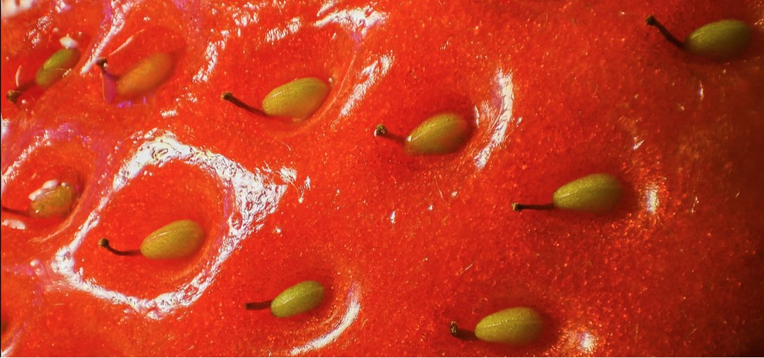 Jay Anderson tweet media