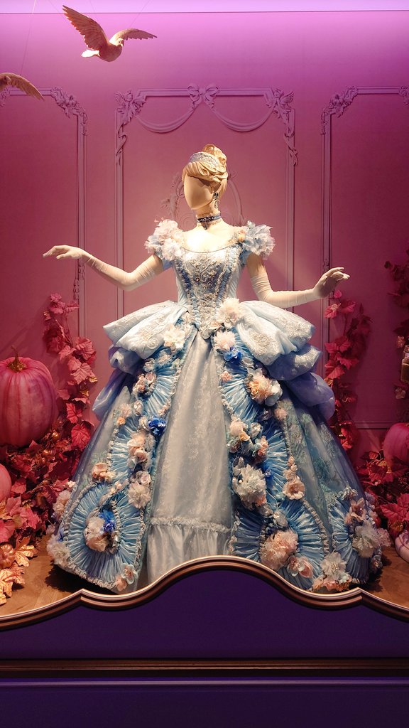 3猫お世話係 tweet media