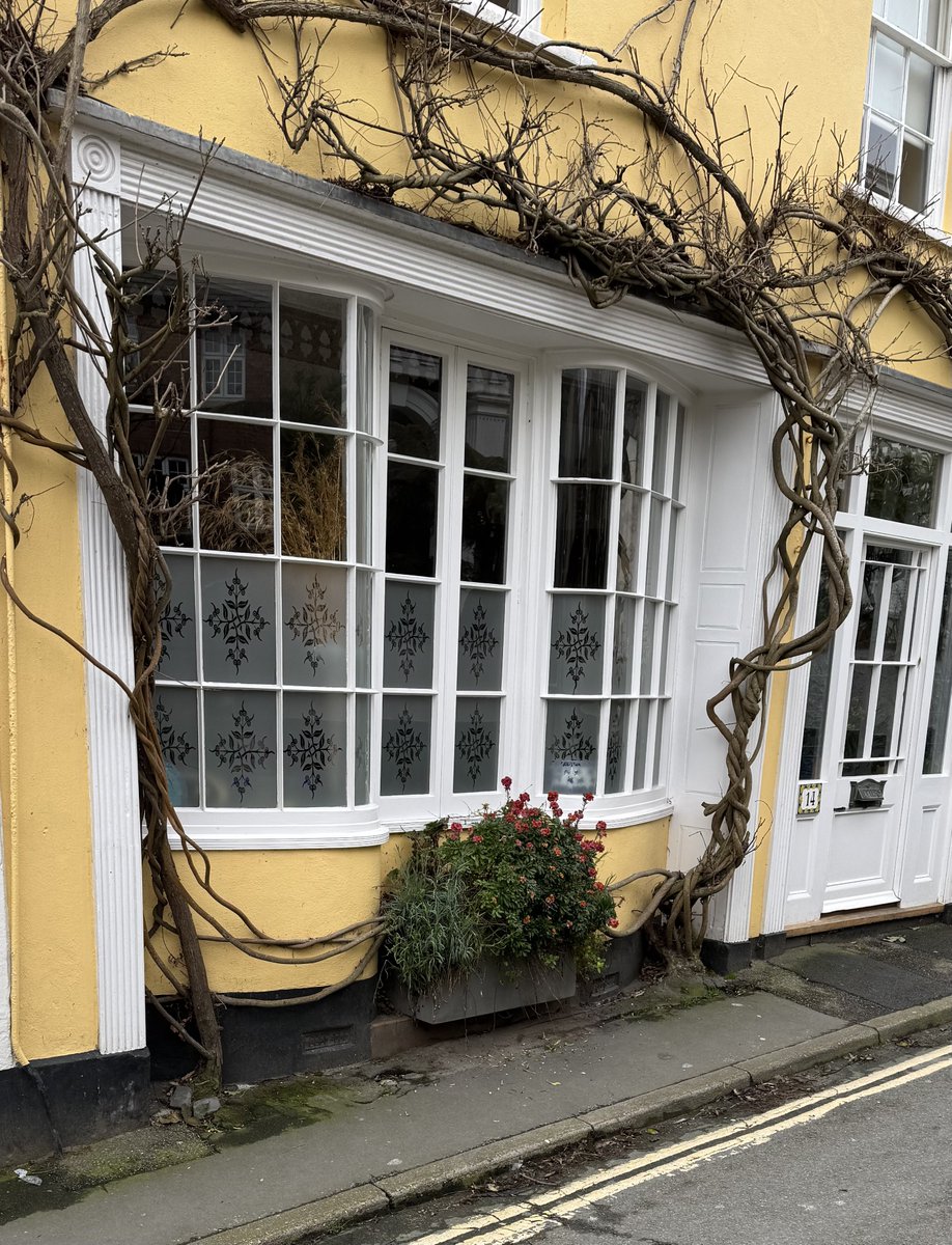 Barbara🦕 tweet media