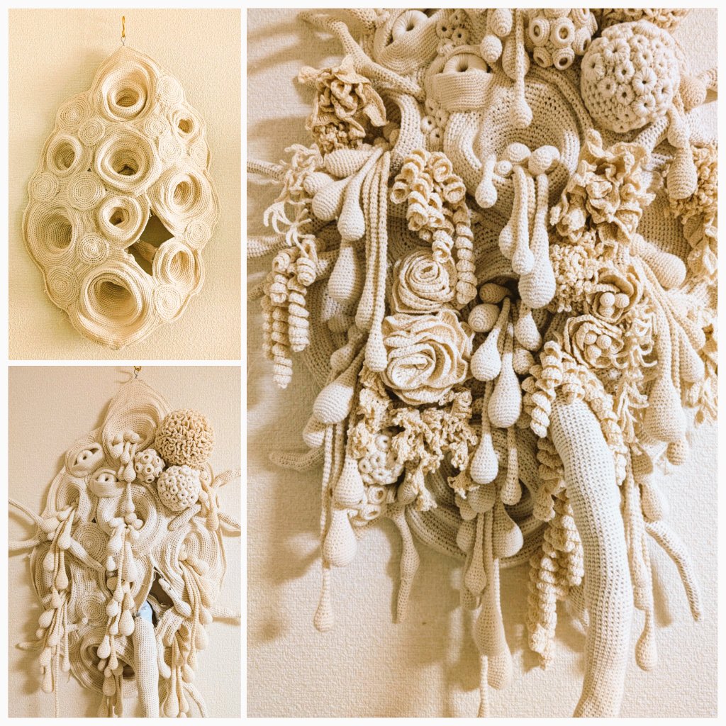 山口三輪 Miwa Yamaguchi tweet media