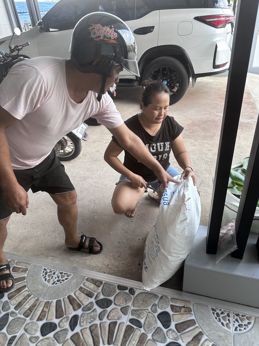 Asphalt Jungle tweet media