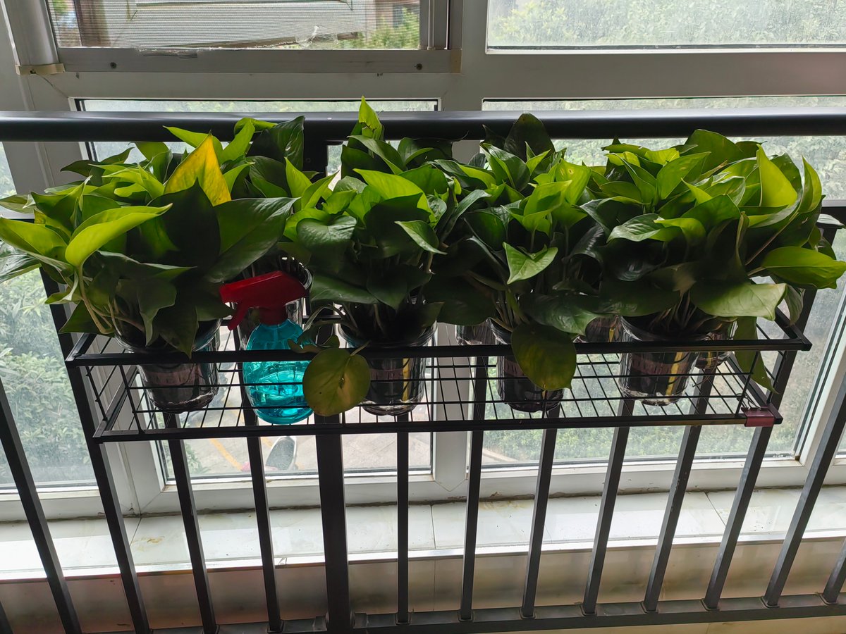 Jaya Verma tweet media