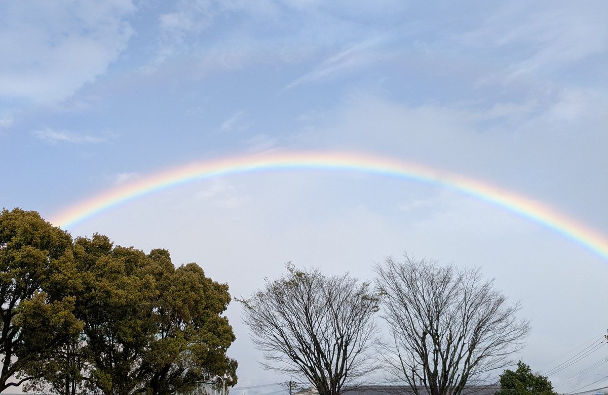 りぃた@楽しい思い出コレクター tweet media