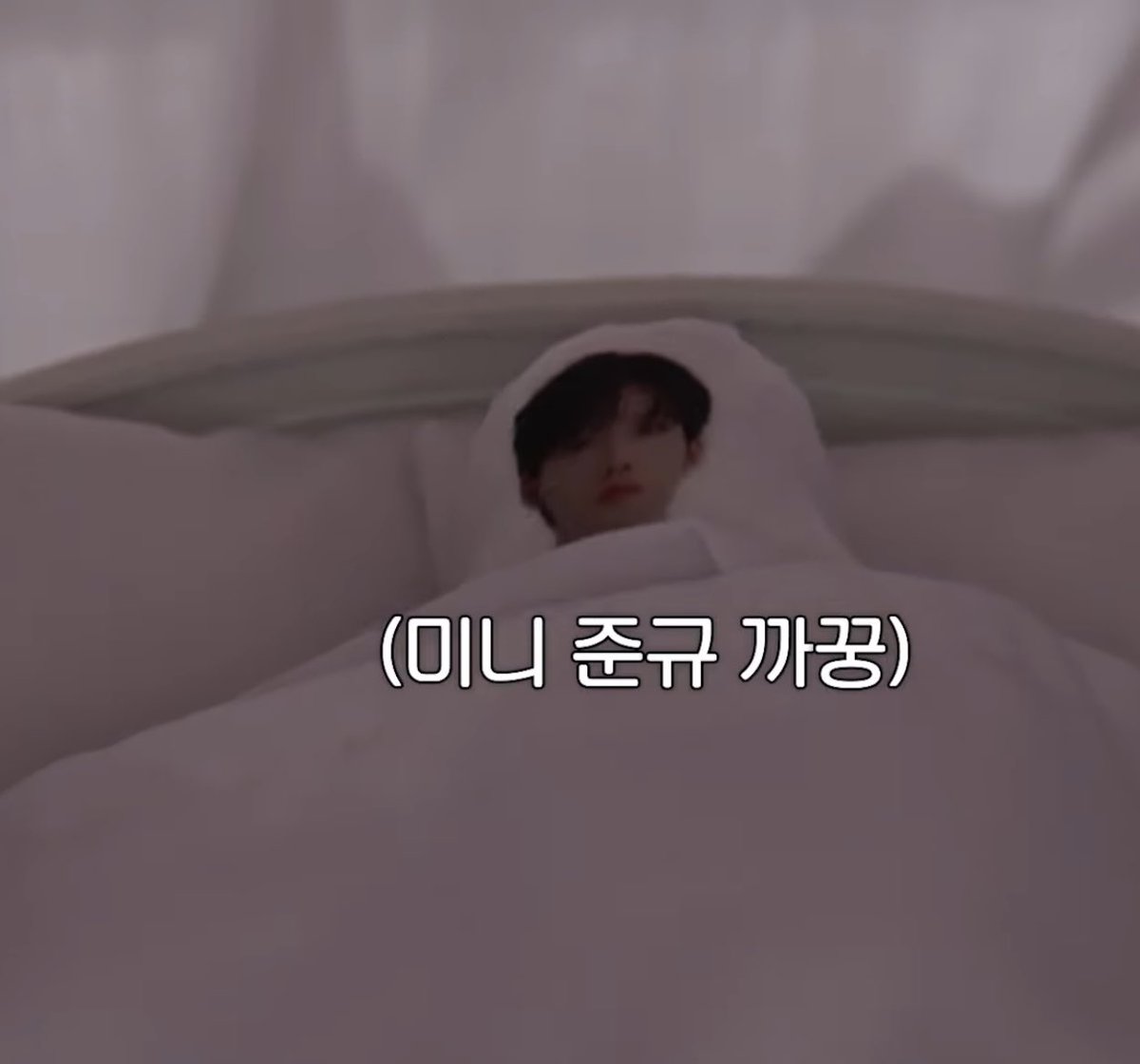 짱이 tweet media