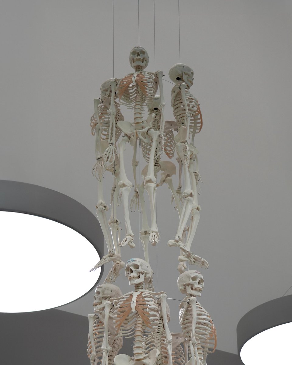 더트프로젝트 tweet media