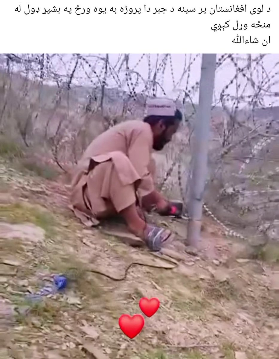 Jahanzeb Zaheer tweet media