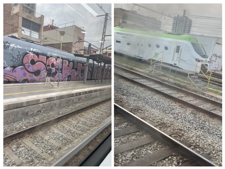 BILBO CAT 🆓 tweet media