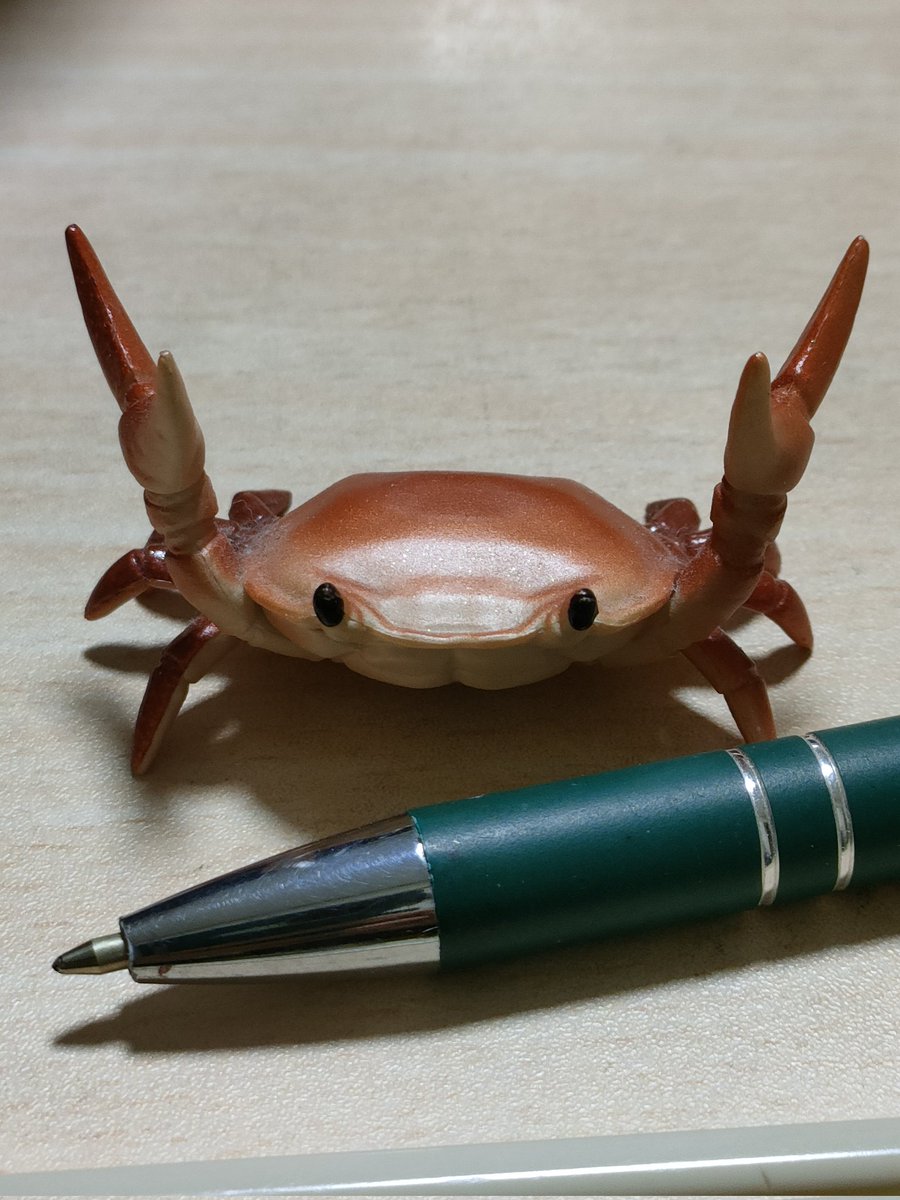 らいなす tweet media