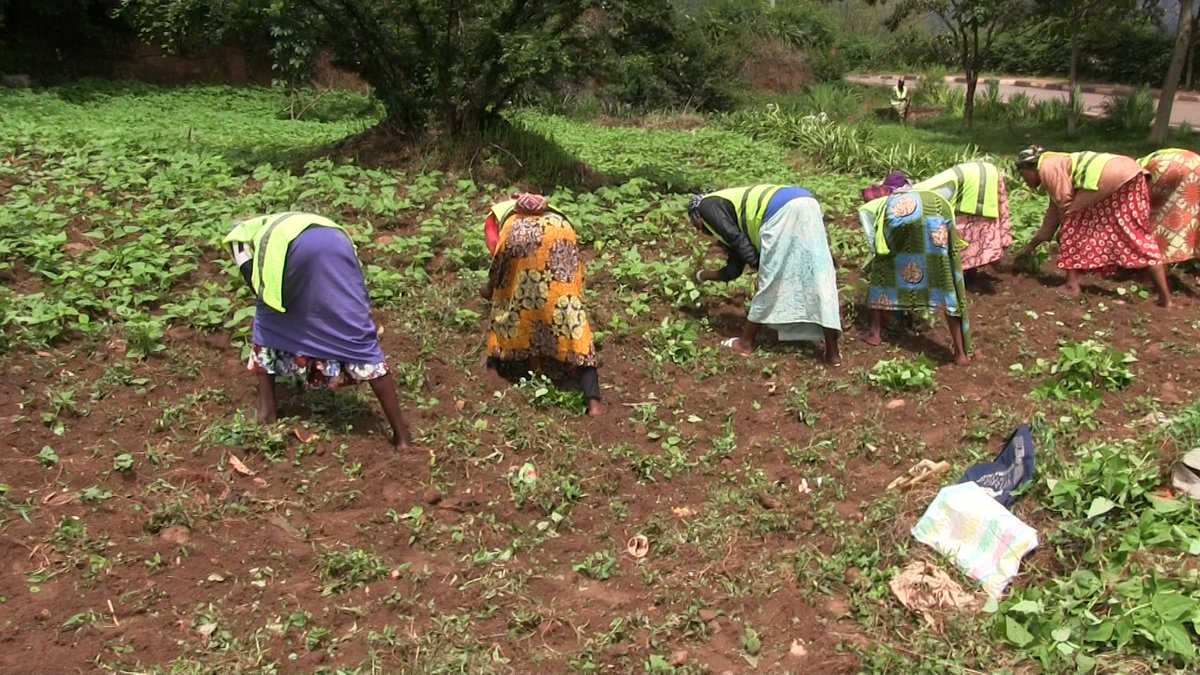 Eric BAGIRUWUBUSA tweet media