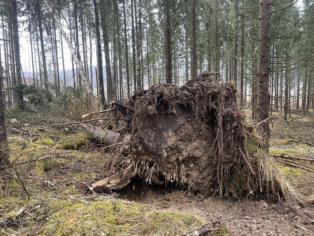 Bitcoinbonden tweet media