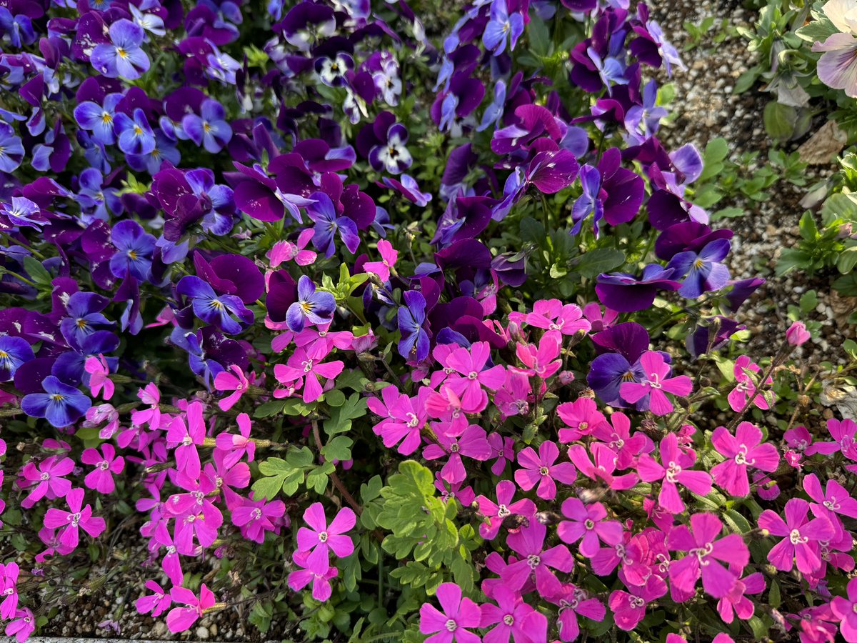 TAKUYA＜SPREAD/大阪喫茶部＞ tweet media