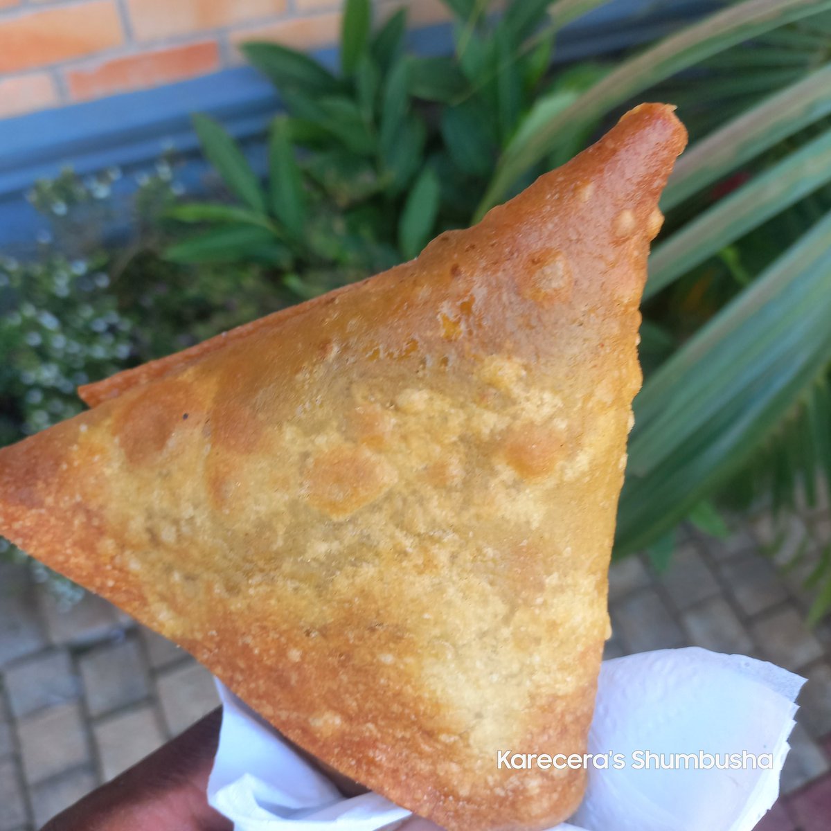 Karecera's Shumbusha tweet media