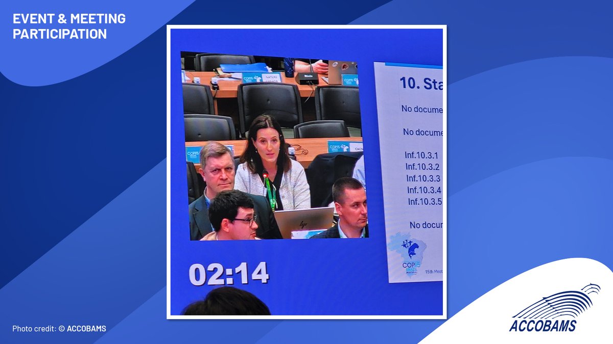 ACCOBAMS's tweet photo. 🐬 At #CMSCOP15, #ACCOBAMS emphasizes the importance of collective, cross-sector collaboration to safeguard cetaceans and their habitats.

Addressing human-induced threats requires coordinated action supported by research, monitoring, and policy enforcement.

#Biodiversity #ASI2 https://t.co/SjE13njvGy