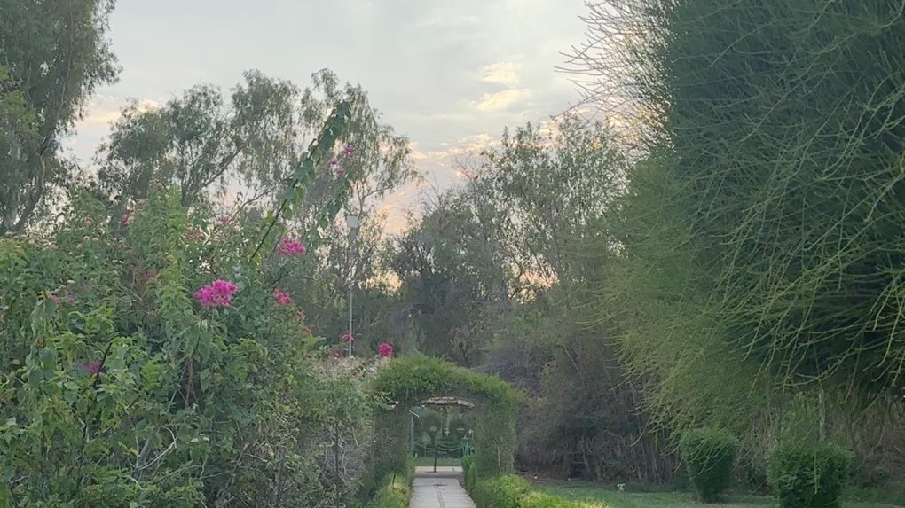 i move at my own pace tweet media