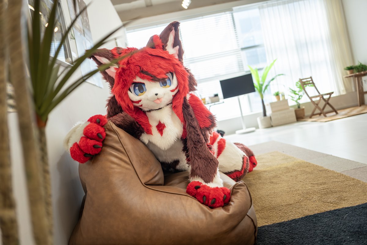 #Fursuit #FursuitsEveryday
크왕 ꜀(^｡ ̫ ｡^꜀ )꜆੭😆