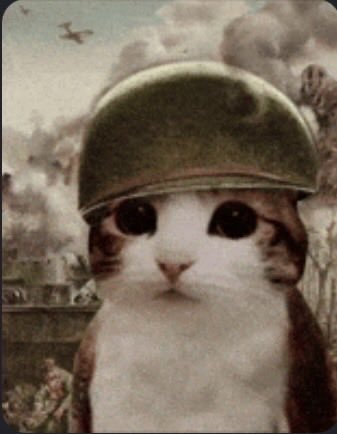 VIT_Smect@❤️🇫🇷🇬🇵🇲🇶 tweet media