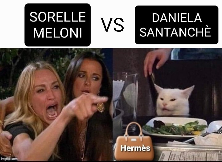 TeleGattone tweet media