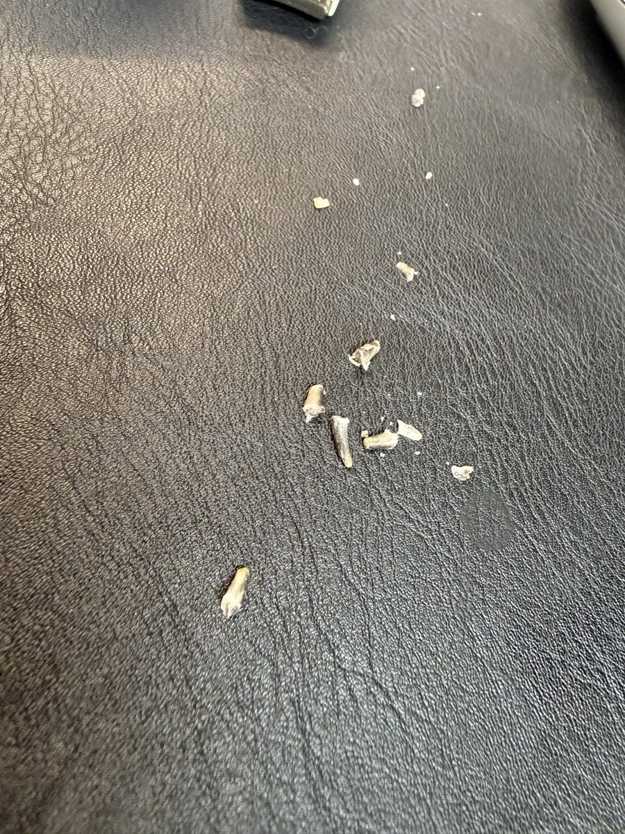 銀紙🦉 tweet media