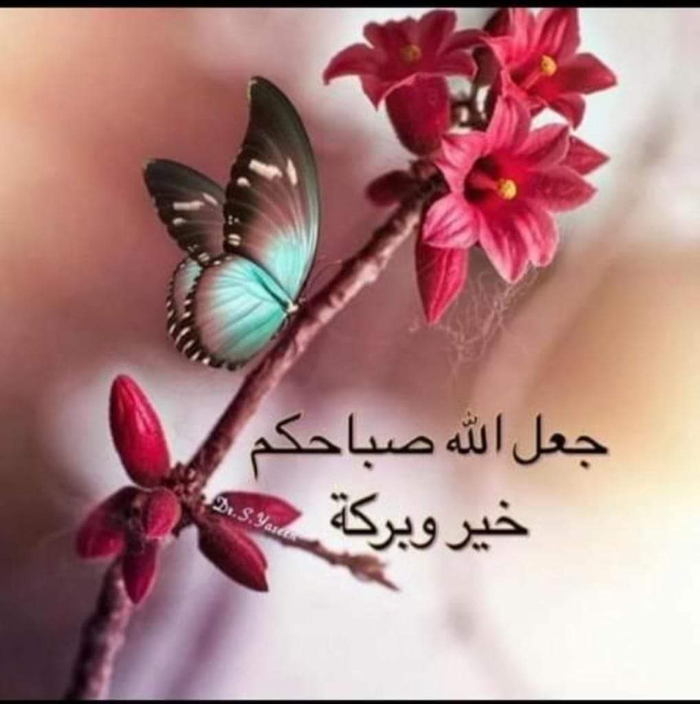 𝓔𝓼𝓼𝓪𝓶 tweet media