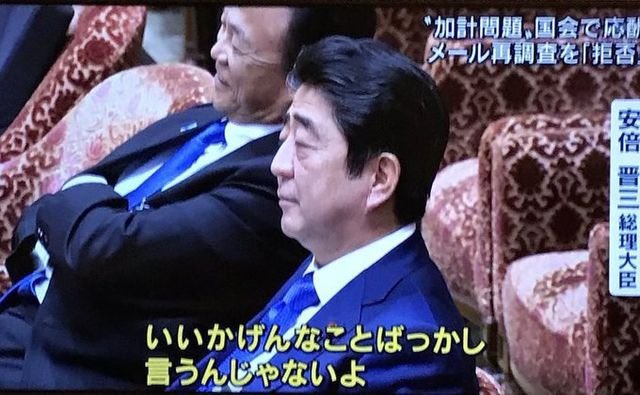 カレリア tweet media