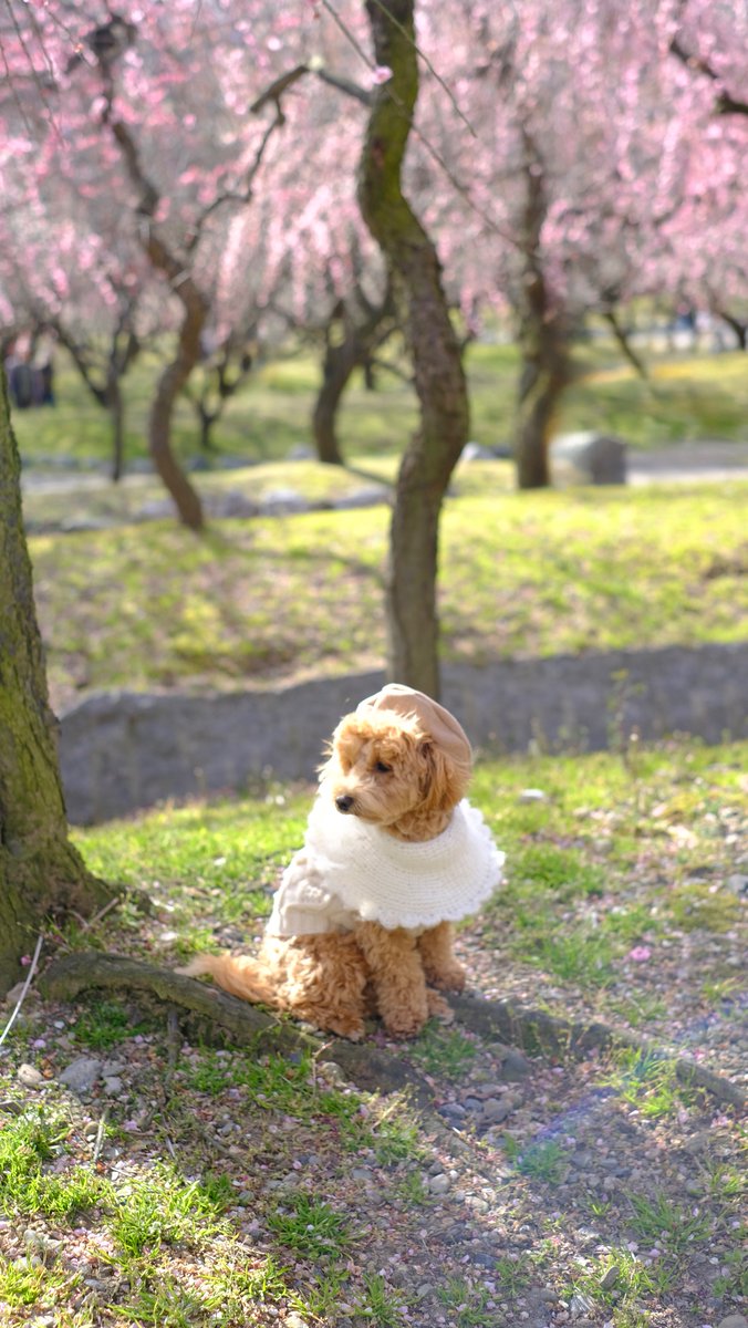 𝗎𝗍𝗍 ⋆꙳ tweet media