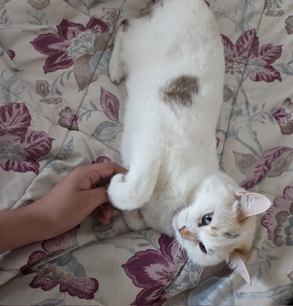 Andu:3 | ENHYPEN IS 7 🧡 tweet media