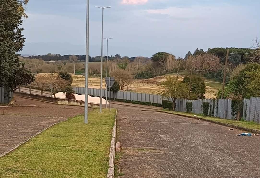 Stefano.Greco.1962 tweet media