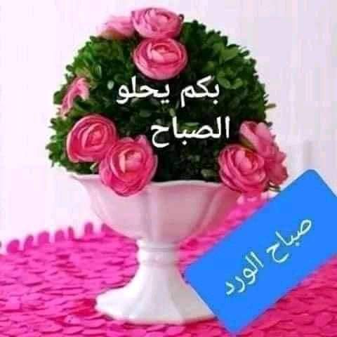 𝓔𝓼𝓼𝓪𝓶 tweet media