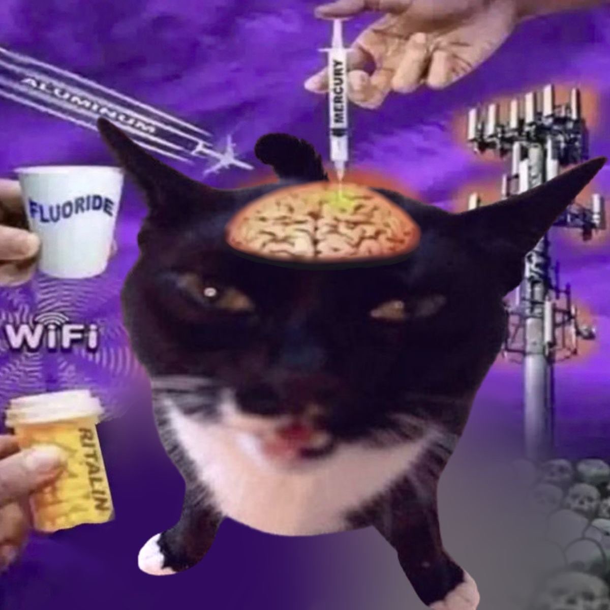 Larii! 💜✨ (0 days binge free) tweet media