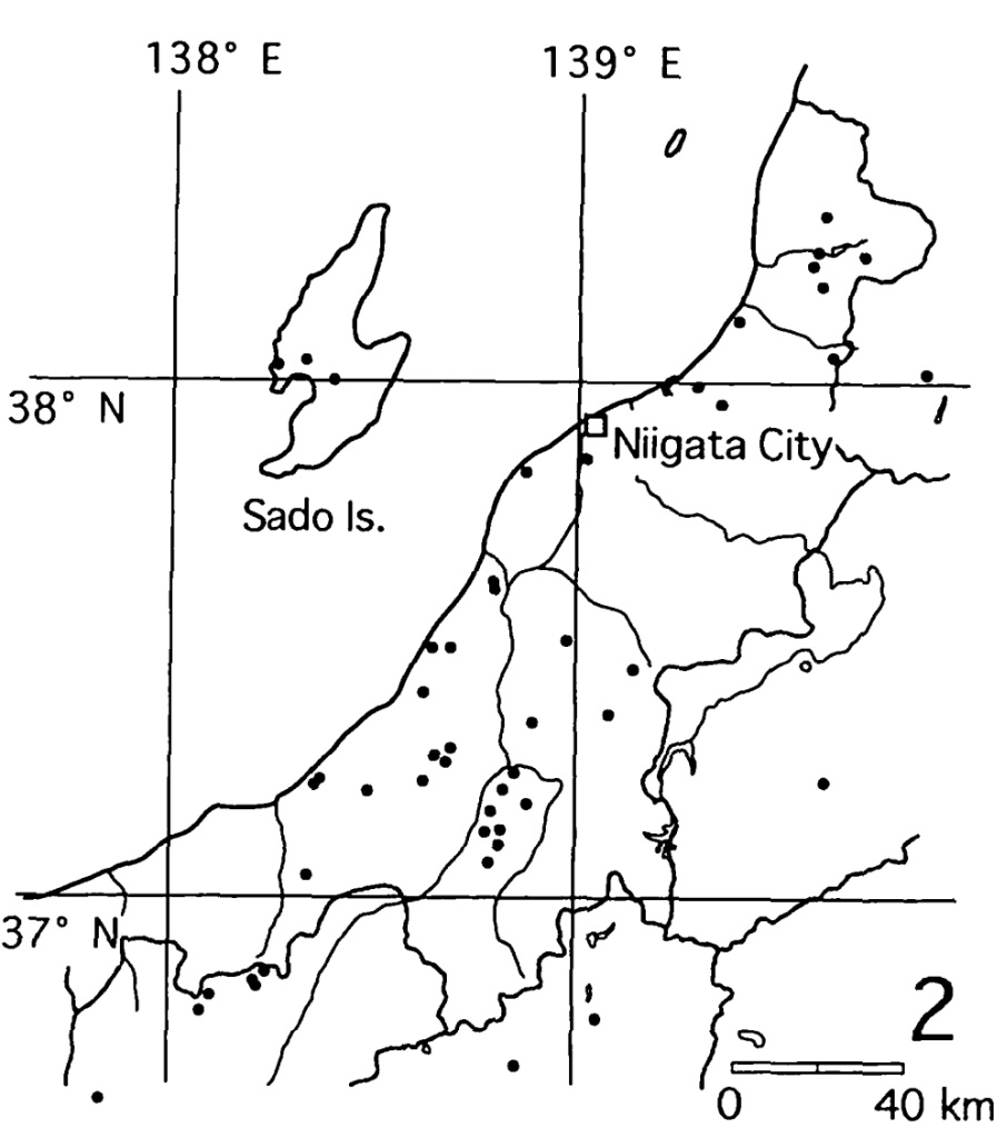 Nekui_hayashi tweet media