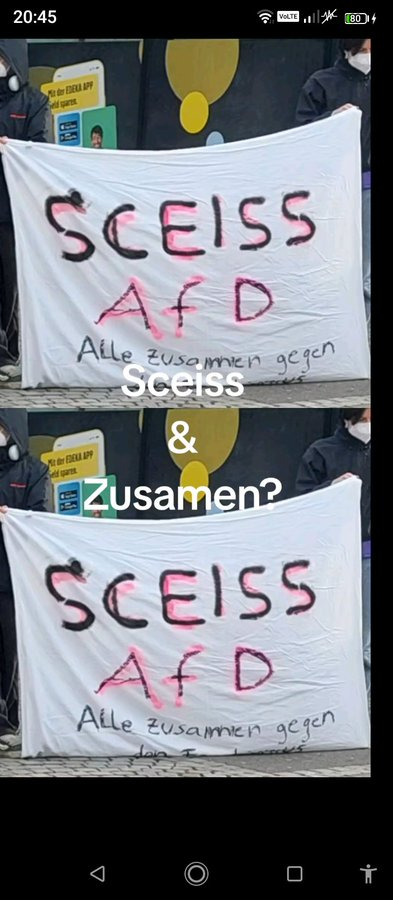 AfD-Georg , Team Bhakdi , ungeimpfter Orthodoxer tweet media