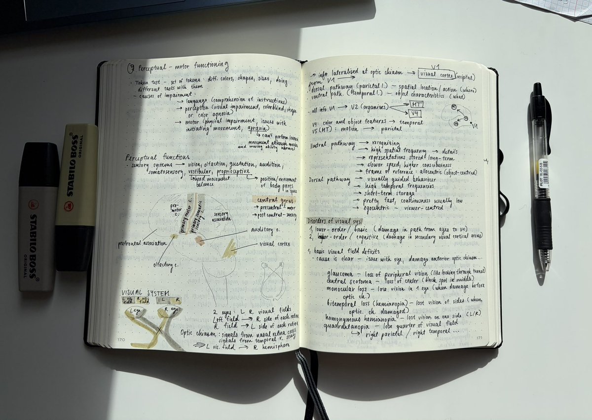 jasmine ✮⋆˙ tweet media