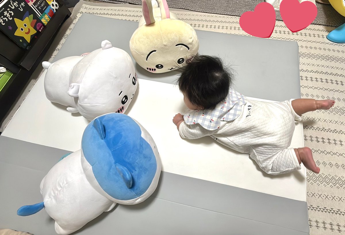 いち@❺m🎀 tweet media