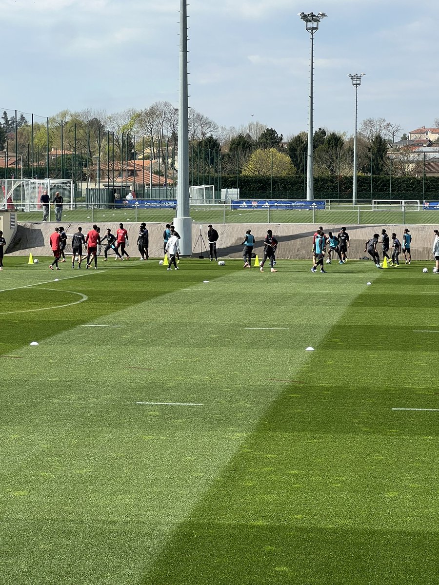 Alexio 🦁 tweet media