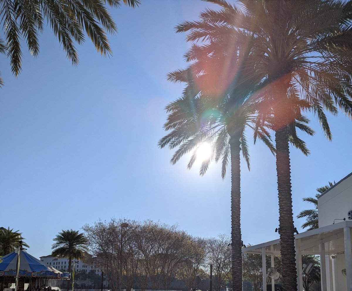 Sheila the Bills 50/50 girl! ❤️🏈💙 tweet media