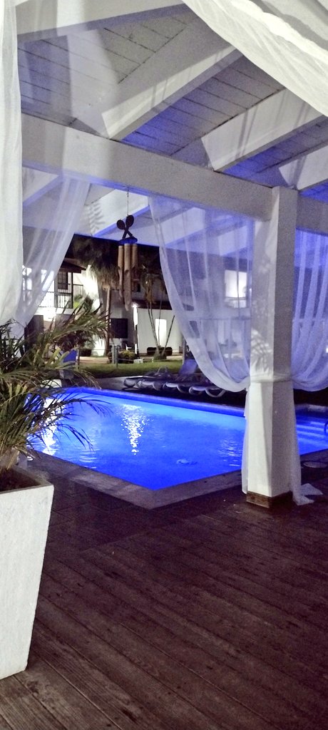 Hélène St-Denis tweet media