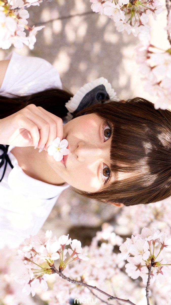 𝘆𝘂𝗮 tweet media