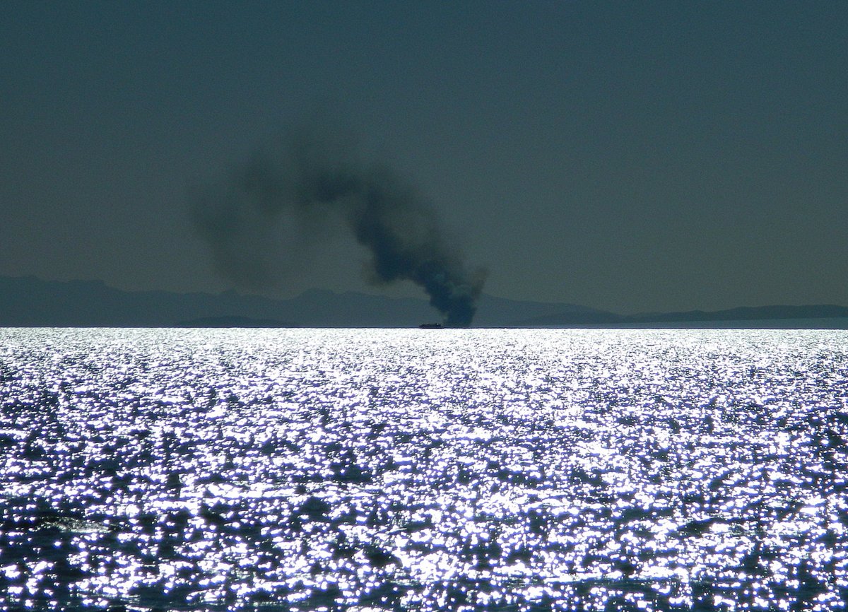 Andreas Moser tweet media