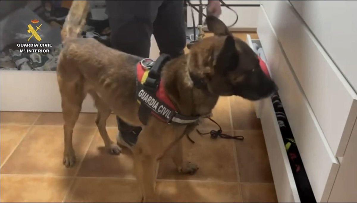 Guardia Civil Cáceres 🇪🇸 tweet media