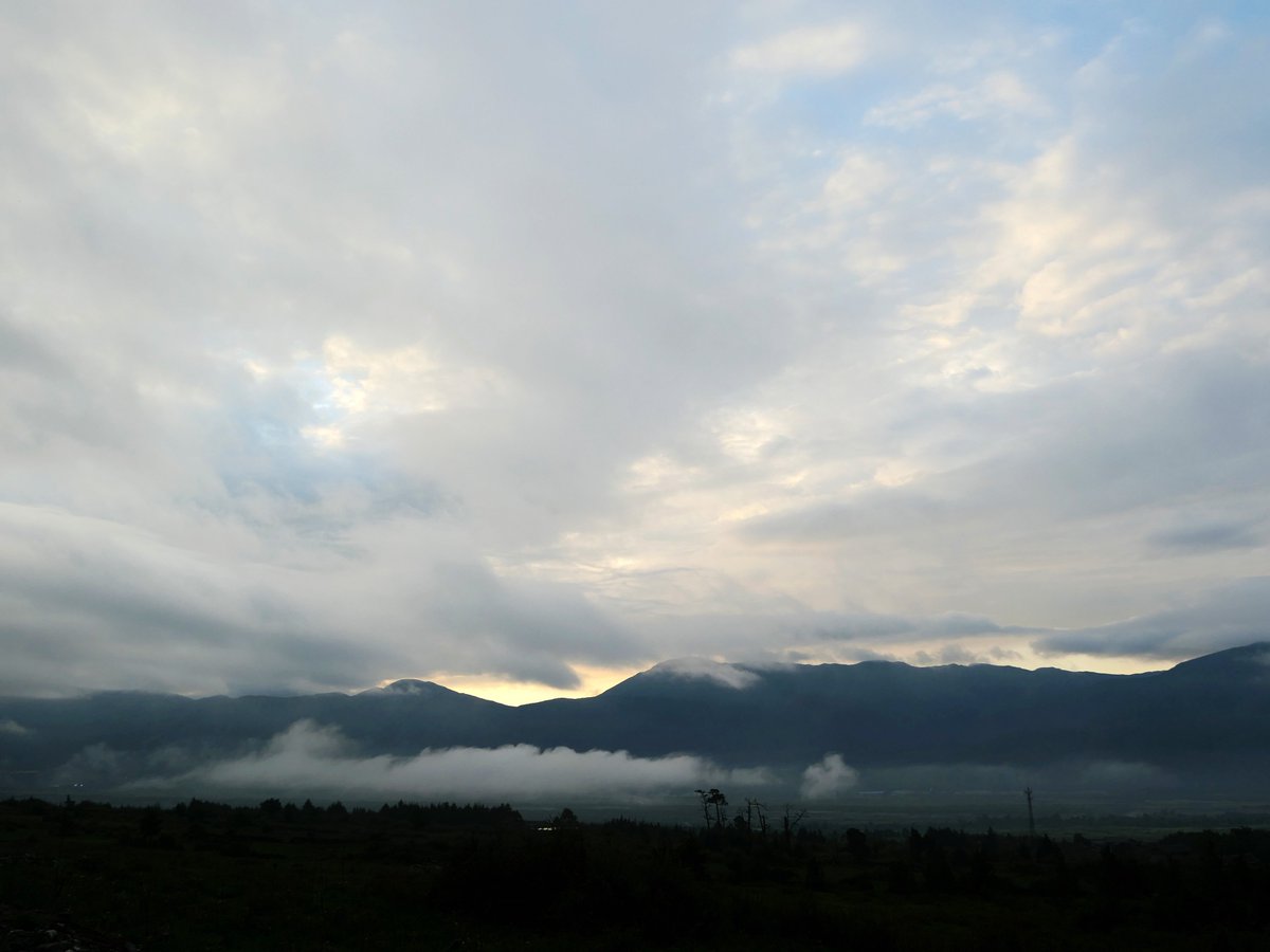 Britney Hamlin tweet media