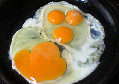 Rustle🐾 tweet media